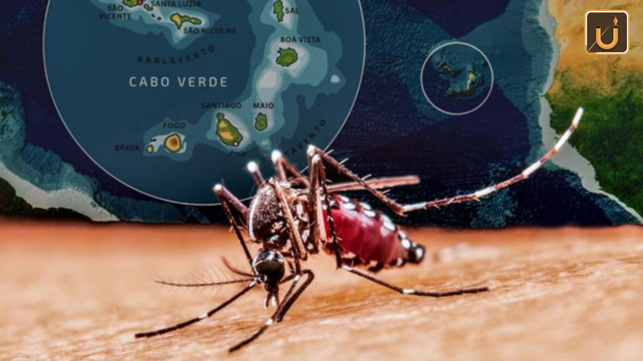 Usthadian Academy / Cabo Verde Achieves Malaria-Free Certification By WHO | 24 jan 2024 Usthadian Academy / Cabo Verde Achieves Malaria-Free Certification By WHO